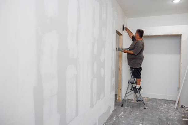 Best Mold-Related Health Consultation  in Chadwicks, NY