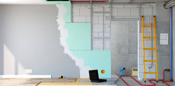 Trusted Chadwicks, NY Mold Removal Experts